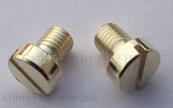 瑞安市精工组合紧固件厂